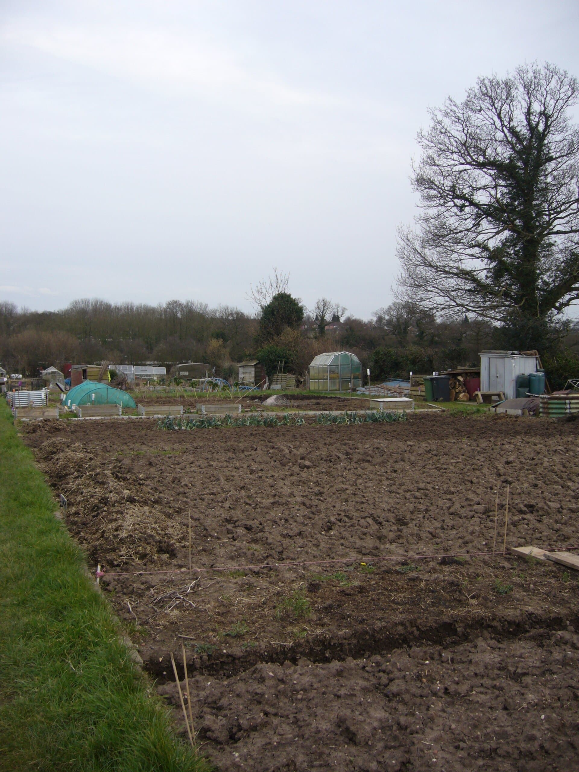 Looking down plots field side